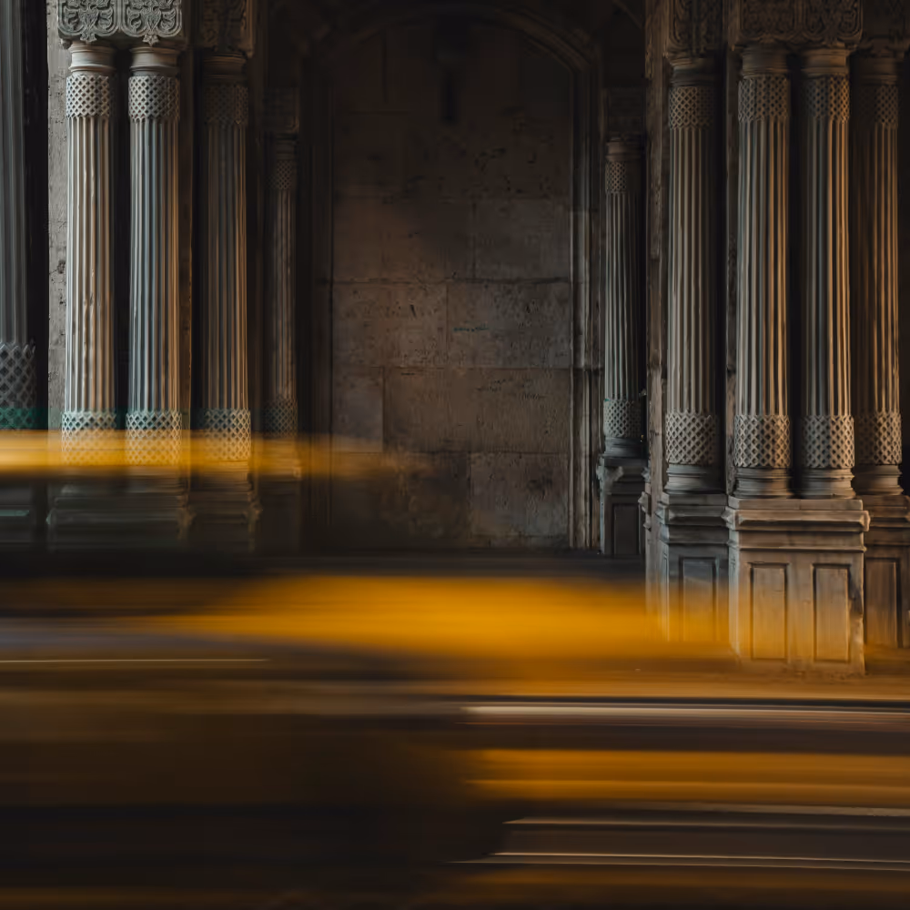 A chair and some plants